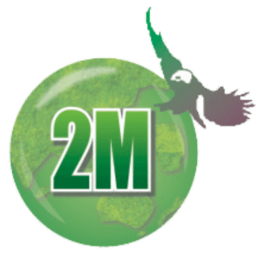 cropped 2m logo 2